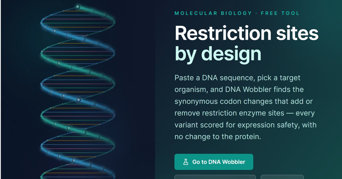 DNA Wobbler – A Scientific SaaS Tool Built by AI